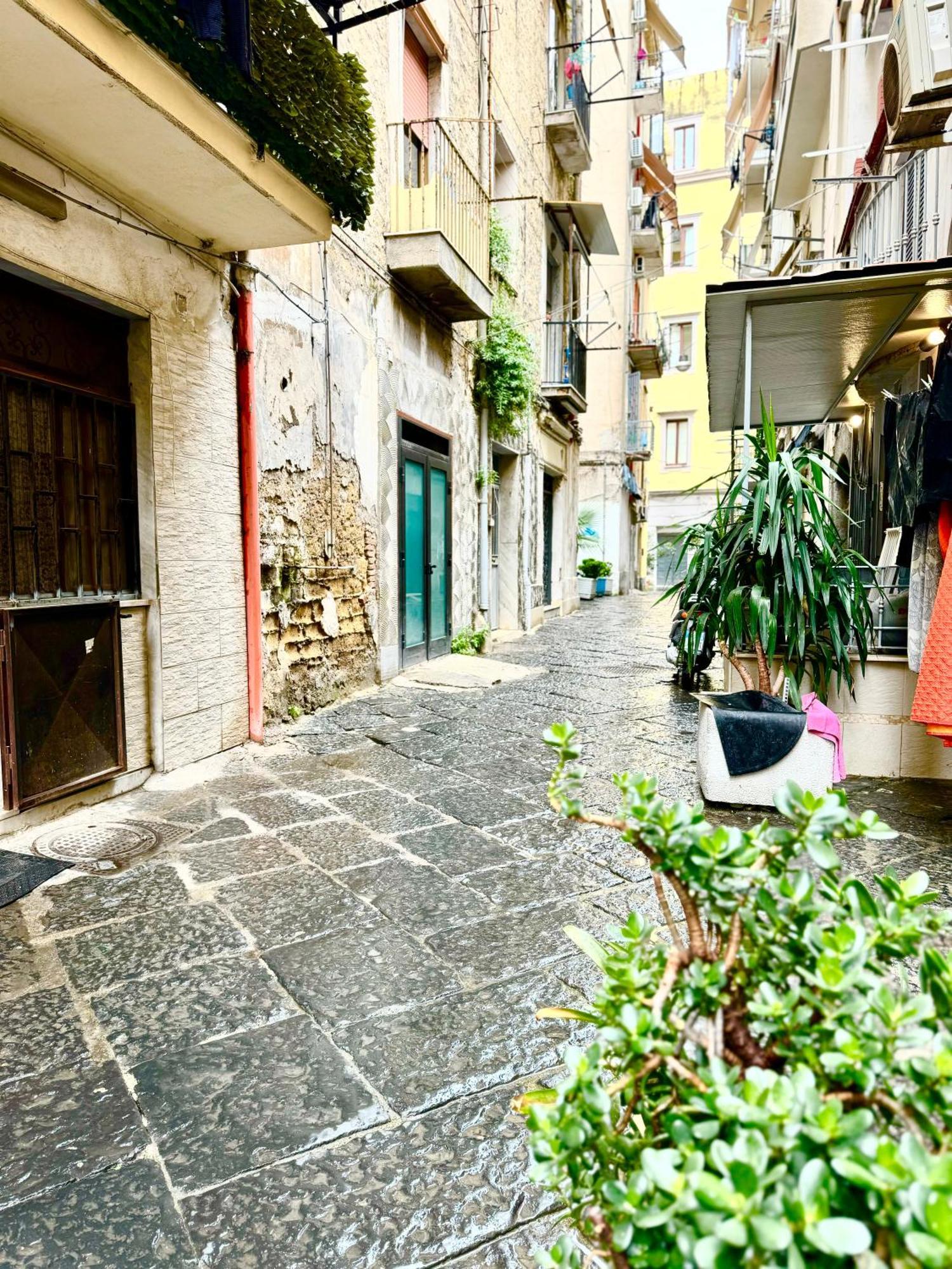 Vesuvius House Apartment Naples Exterior photo